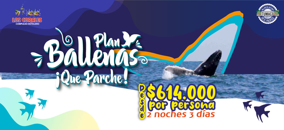 Plan Ballenas 2023 Tumaco hotel Los Corales
