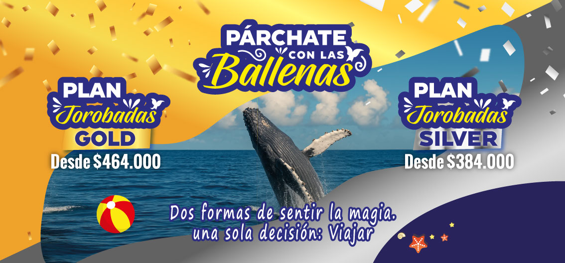 Plan Ballenas Hotel Los Corales Tumaco 2025