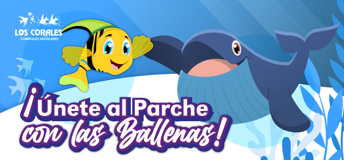 Plan Avistamiento de Ballenas en Bocagrande Tumaco Pacífico Colombia