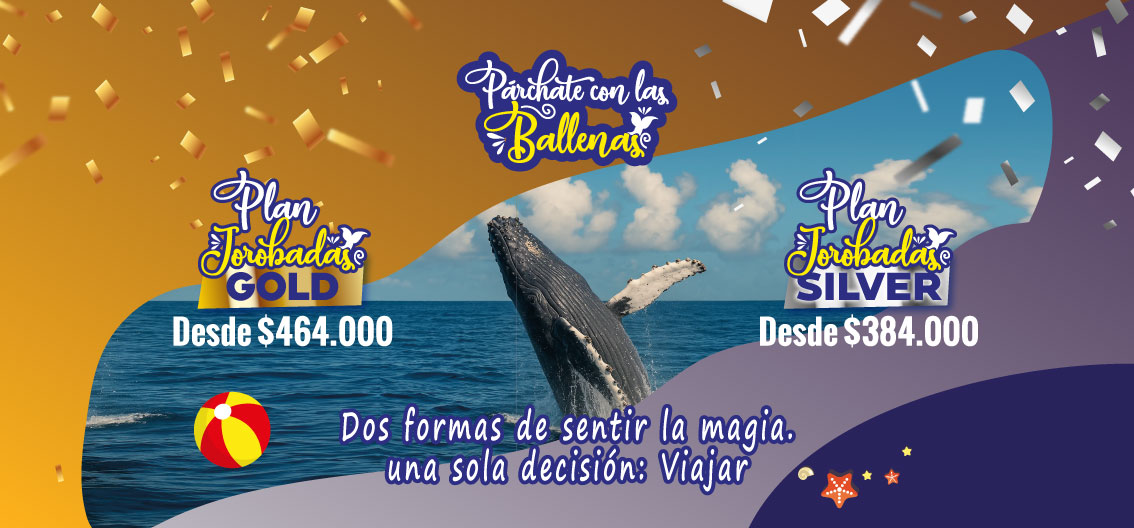 Plan Ballenas Hotel Los Corales - Tumaco 2025